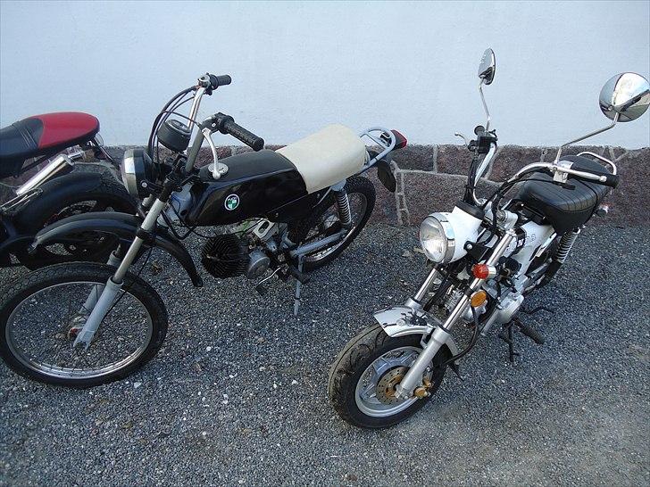 Puch Pioneer billede 15