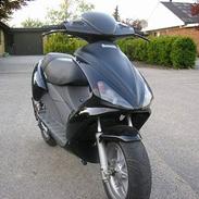 Benelli 491 ST [Team-Aars]