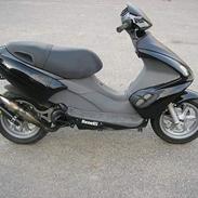 Benelli 491 ST [Team-Aars]