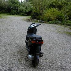 Gilera Runner SP LC 45 - Allive