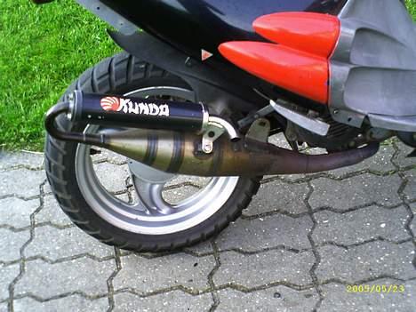 Derbi hunter(Solgt) - her er så min gamle dæmper billede 6