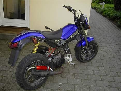Suzuki Street Magic - Solgt billede 1