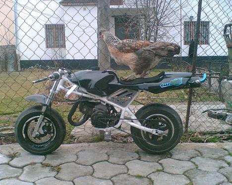 MiniBike Racer $ UDLANDET - Kyling ? billede 15