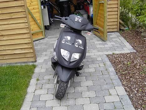 PGO Dr. Big billede 1