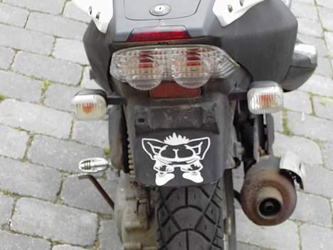 PGO Dr. Big billede 3