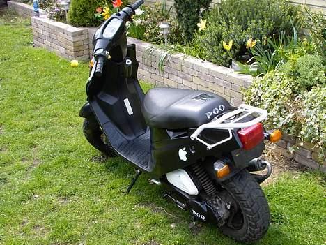 PGO HOT50 - god røv billede 6