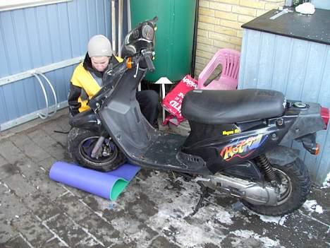 PGO HOT50 - en uge efter jeg havde købt den. den var sygt grim billede 7