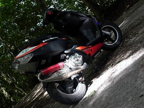 Aprilia                    Sonic  billede 12