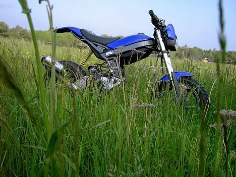 Suzuki Street Magic [Solgt] billede 13