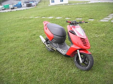 Aprilia Sonic Gp - Solgt billede 5