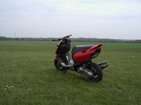 Aprilia Sonic Gp - Solgt billede 7