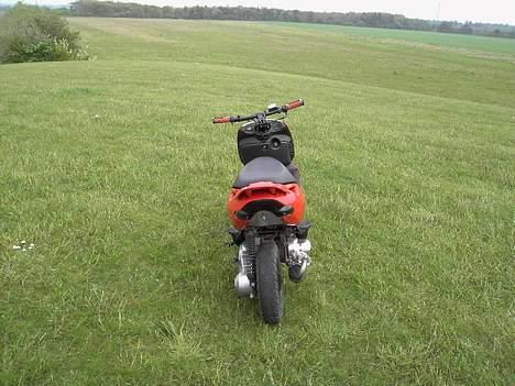 Aprilia Sonic Gp - Solgt billede 8