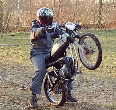 Yamaha Fs-1 dx (solgt) billede 1