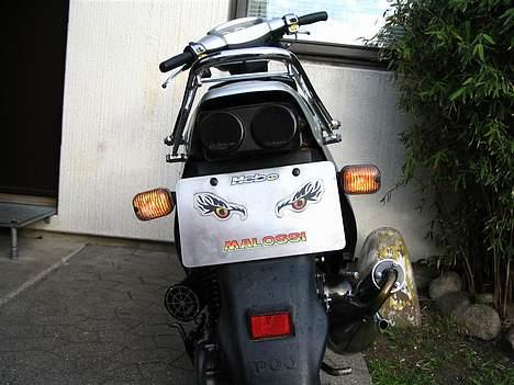 PGO Hot 50 solgt - der blå blink på nu  billede 11