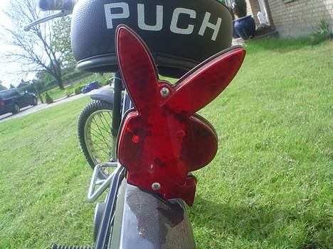 Puch Maxi[team keep the speed] - Playboy baglygten billede 7