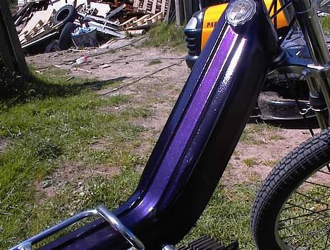 Puch Maxi K (Kamælion) - Og lille igen.. Kujnne ikke rigtigt fange de andre farver der er.. billede 5