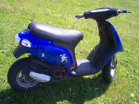 Piaggio Typhoon solgt billede 7