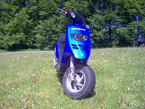 Piaggio Typhoon solgt billede 8