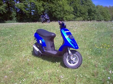 Piaggio Typhoon solgt billede 10