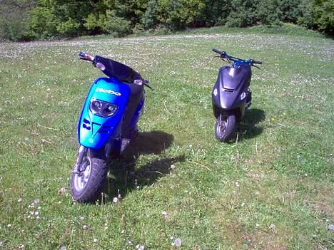 Piaggio Typhoon solgt billede 12