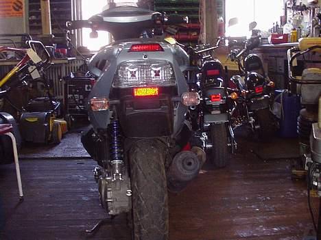 PGO Dr.Big (Solgt) - Hvid baglygte og blink. bagskærm pillet af. billede 2