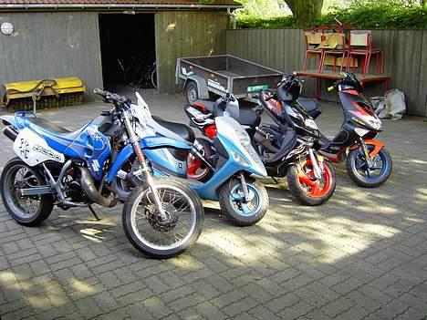 TobiLiner tgb rs303 - scooter-banden billede 4