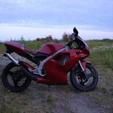 Aprilia rs50