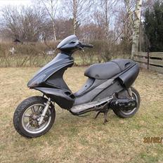 Benelli 491