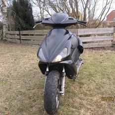 Benelli 491