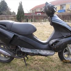 Benelli 491
