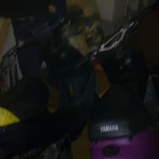 Yamaha jog AS taget af svine