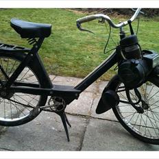 Velo 3800
