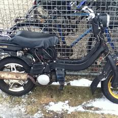 Suzuki FZ50 (solgt!)