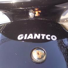 Giantco Sprint Sport 