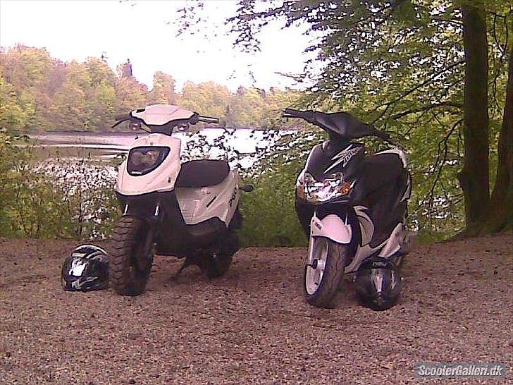 PGO Hot 50 billede 10