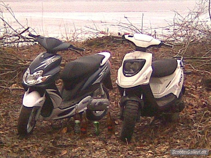 PGO Hot 50 billede 12