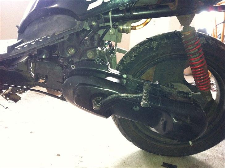 Adly cat - så den er den nu når jeg er færdig  billede 13