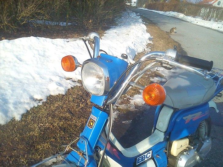 Suzuki FZ50 ~SOLGT~ billede 11