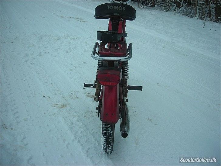 Tomos gt2  billede 1