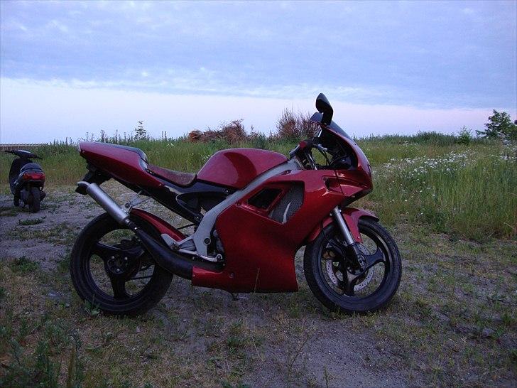 Aprilia rs50 billede 3