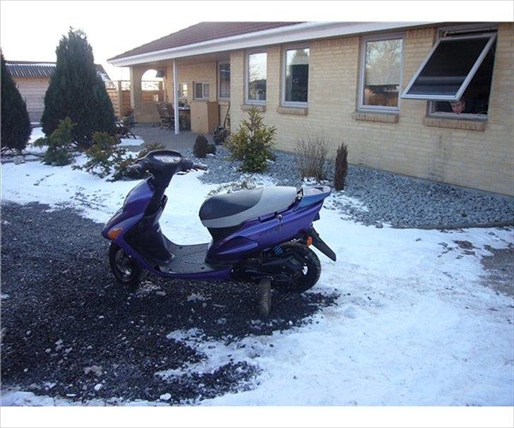 Honda Sfx  SOLGT! billede 9