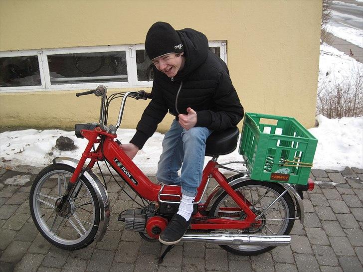 Puch Maxi K billede 6