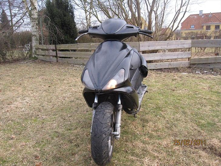 Benelli 491 billede 2