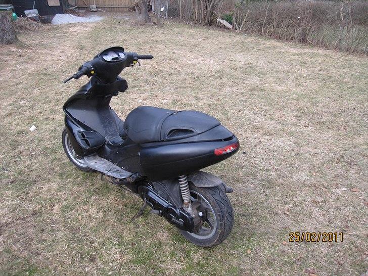 Benelli 491 billede 5