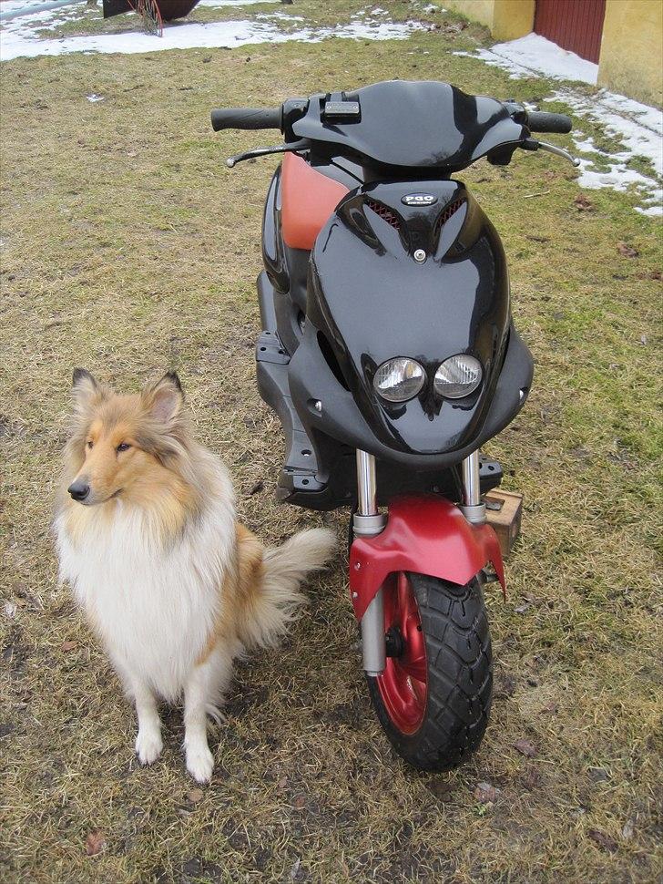 PGO PMX - Solgt billede 10