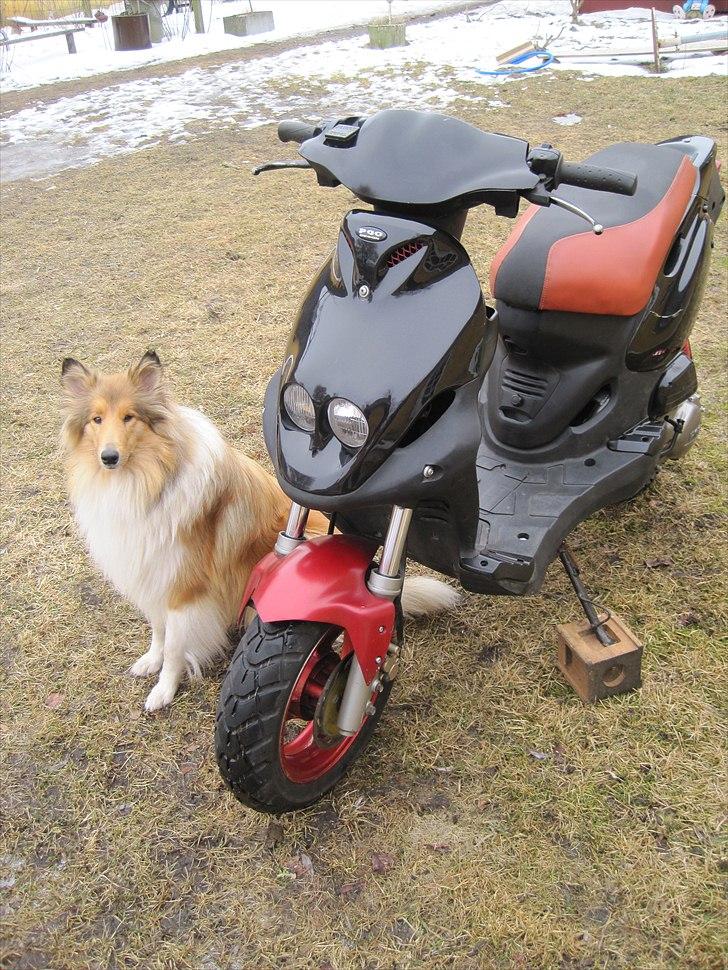 PGO PMX - Solgt billede 11