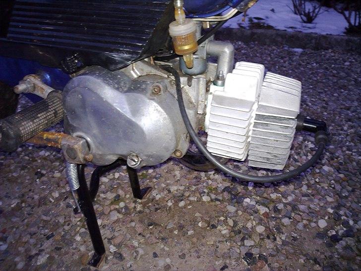 Puch maxi dovndyret billede 4