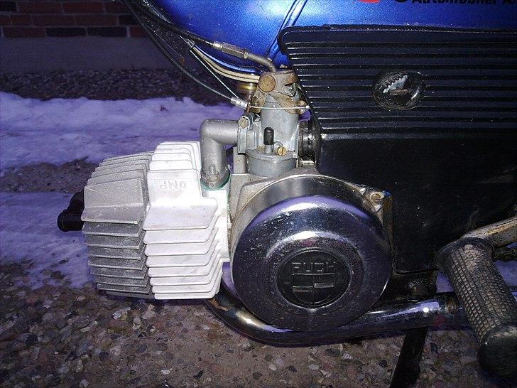 Puch maxi dovndyret billede 5