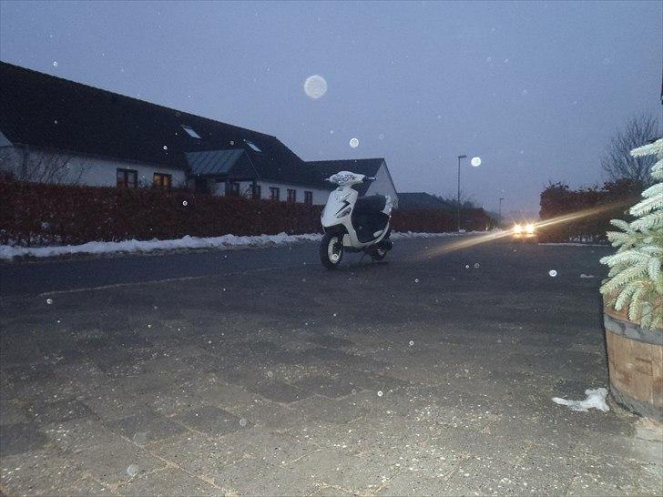 PGO White Magic billede 18