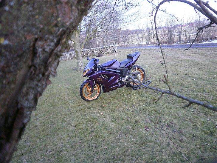 Rieju Matrix Limited Edition - Fornemmer jeg noget lækker grej? billede 2